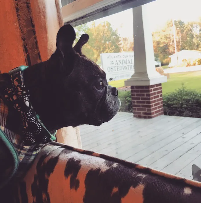 Atlanta Center for Animal Osteopathy 3