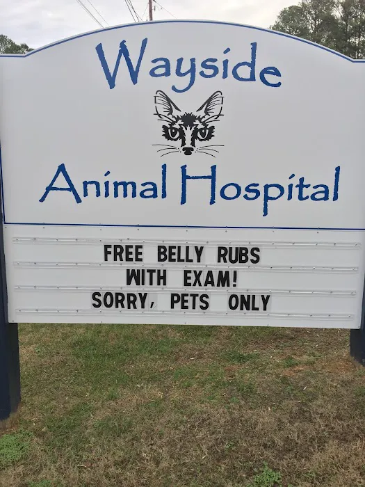 Wayside Animal Hospital at Foothills 6