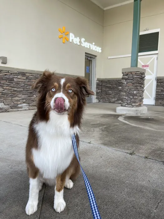 Walmart Pet Services 1