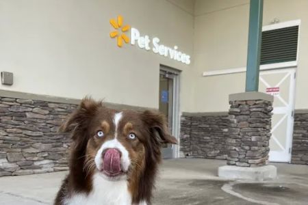 Walmart Pet Services