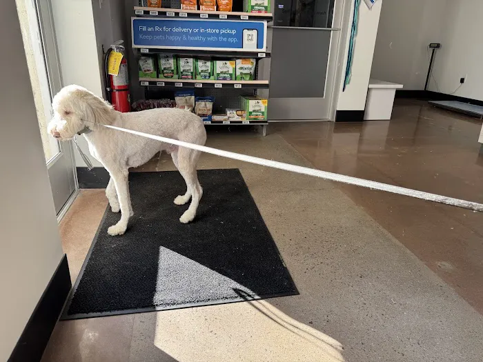 Walmart Pet Services 3
