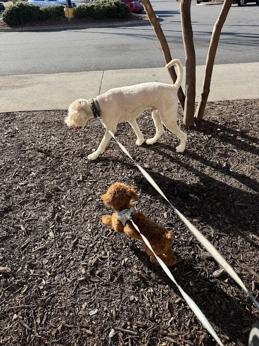 Walmart Pet Services 2