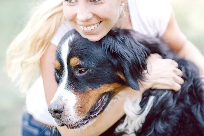 Dacula Animal Hospital 2