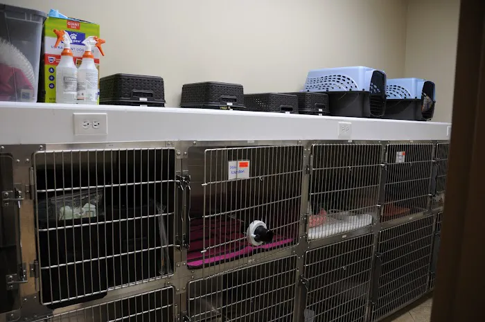 Apalachee Ridge Animal Hospital 3