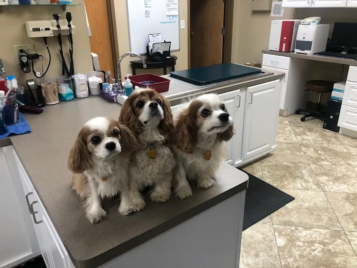 Apalachee Ridge Animal Hospital 7