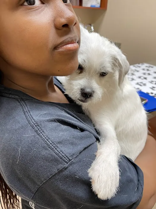 Apalachee River Animal Hospital 2