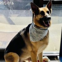 Hamilton Plaza Animal Hospital ico