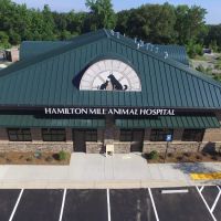 Hamilton Mill Animal Hospital ico