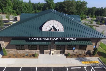 Hamilton Mill Animal Hospital