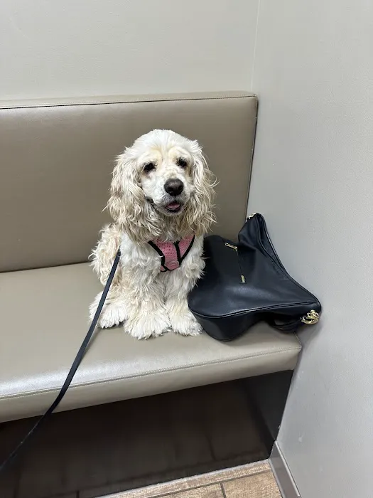 Hamilton Mill Animal Hospital 2