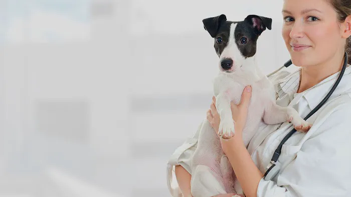 Animal Emergency Care of Braselton 1