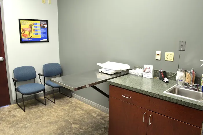 Animal Emergency Care of Braselton 9