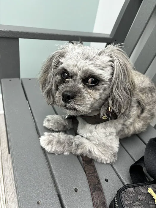 Banfield Pet Hospital 12