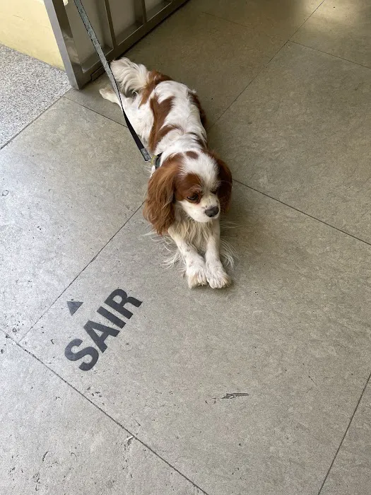 Banfield Pet Hospital 12