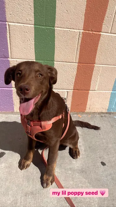 Banfield Pet Hospital 12
