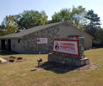 Animal Hospital of Cornelius