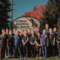 VerticalVet, LLC ico