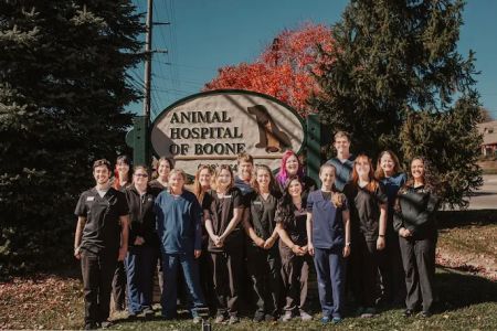 VerticalVet, LLC
