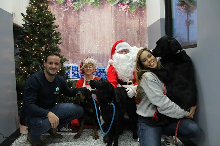 Lakewood Veterinary Hospital 8
