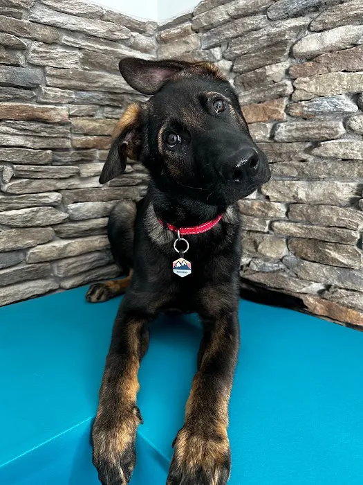 Lakewood Veterinary Hospital 5