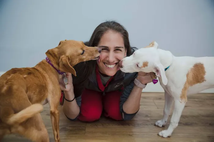 Lakewood Veterinary Hospital 10