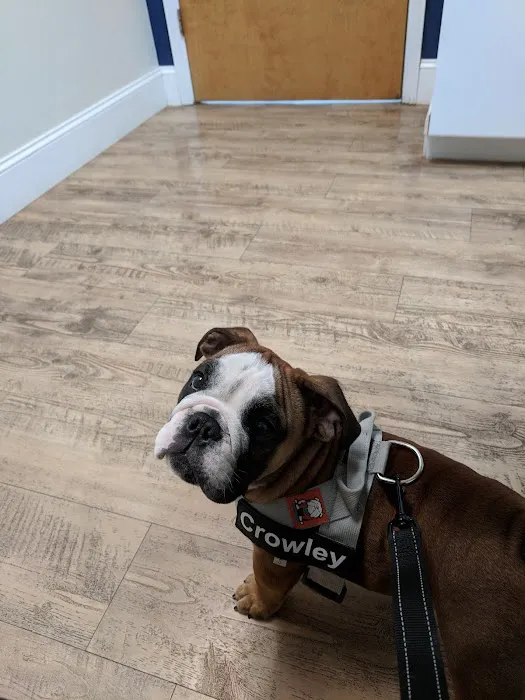 Lakewood Veterinary Hospital 6