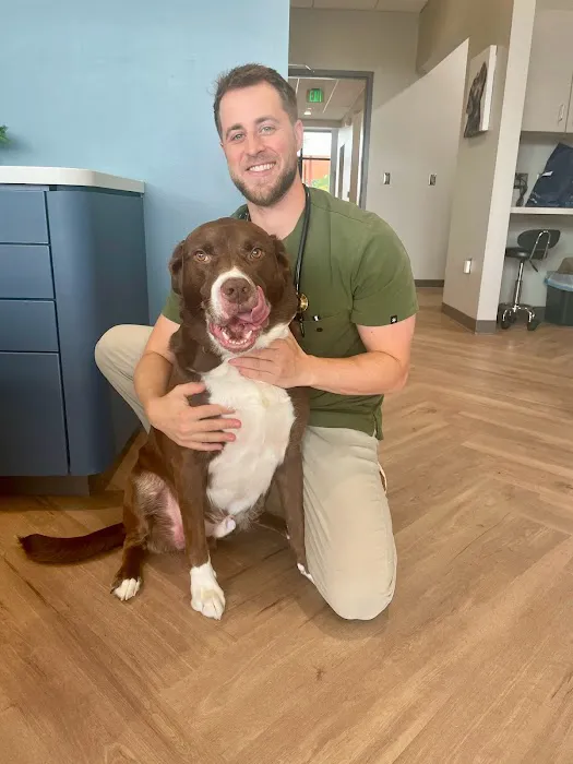 North Creek Animal Hospital 5