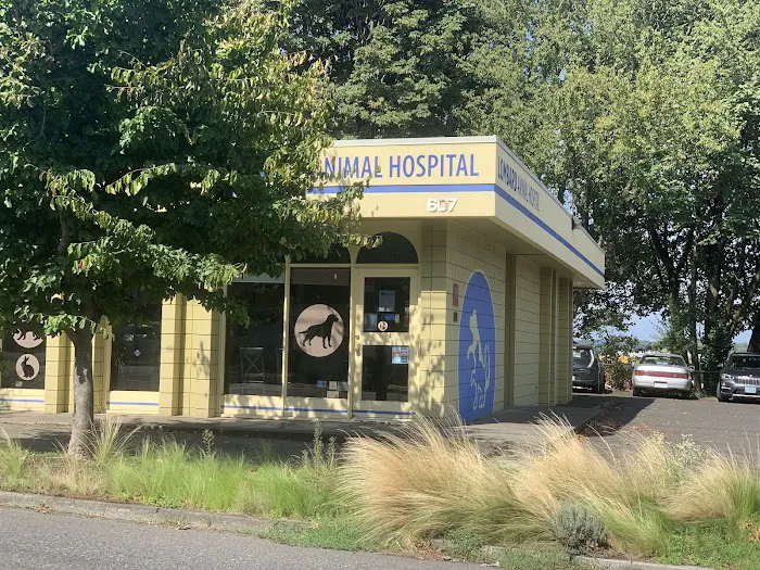 Lombard Animal Hospital 12