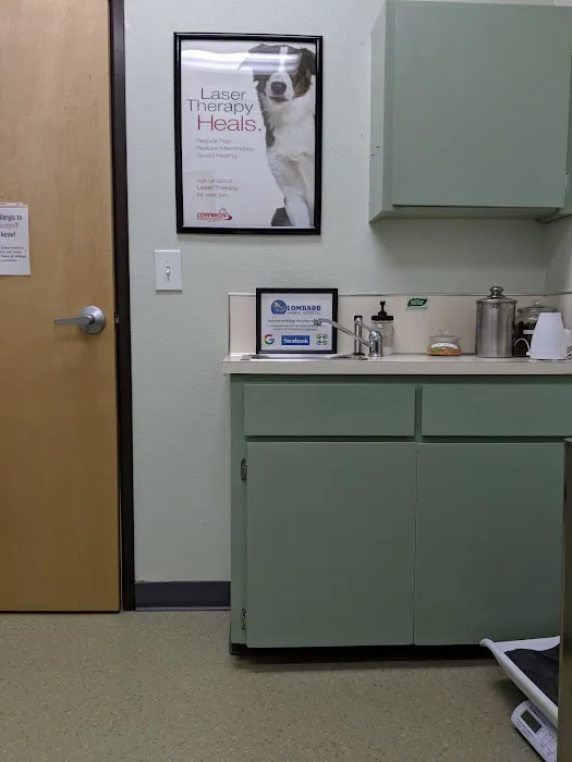 Lombard Animal Hospital 12