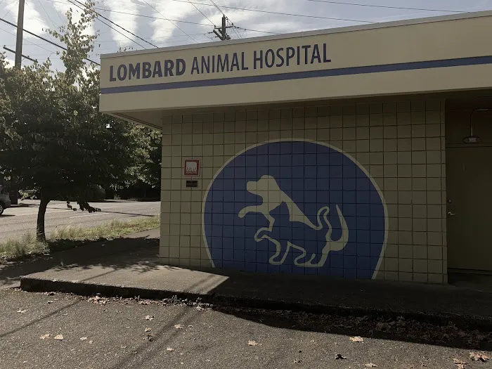 Lombard Animal Hospital 12
