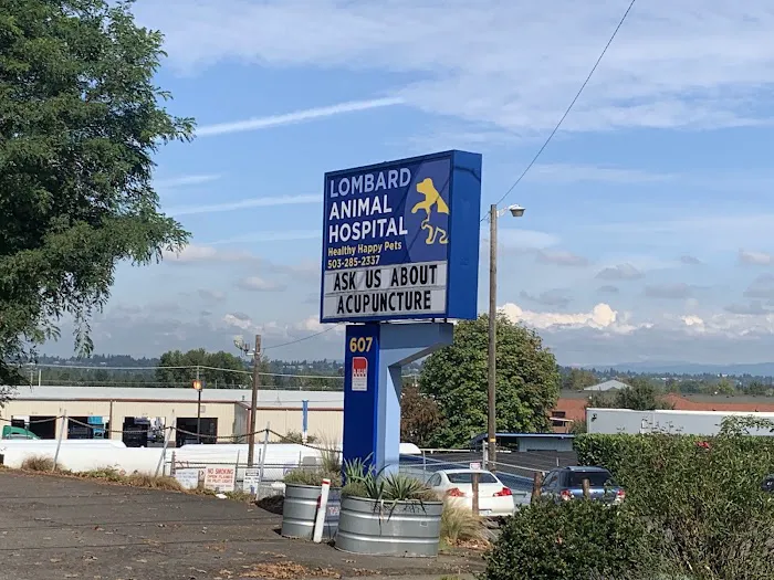 Lombard Animal Hospital 12