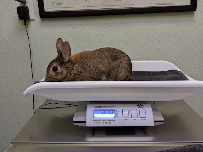 Lombard Animal Hospital 12