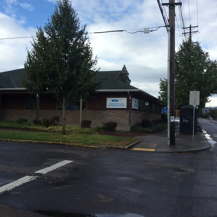 VCA North Portland Veterinary Hospital 12
