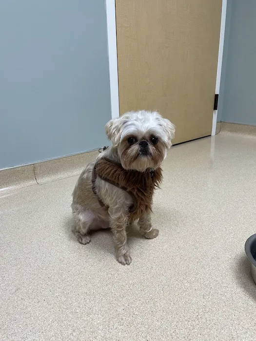 VCA North Portland Veterinary Hospital 12