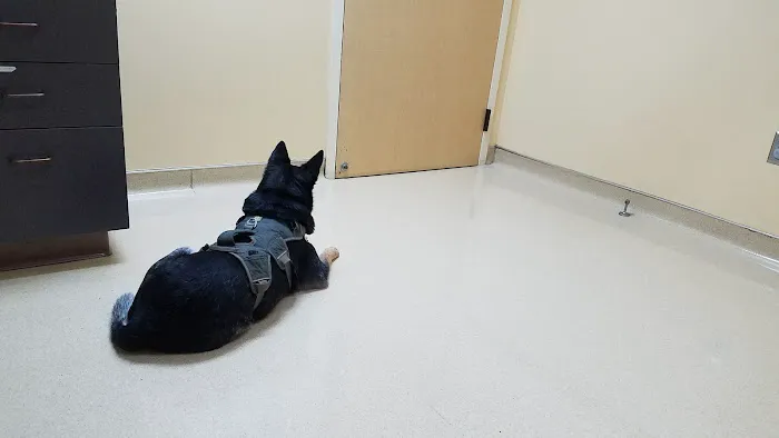VCA North Portland Veterinary Hospital 12