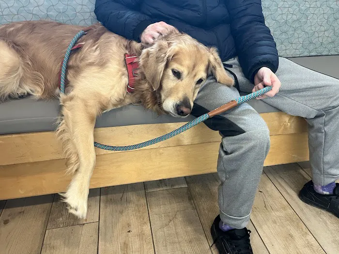 North Portland Veterinary Hospital: Fletcher Chris DVM 1