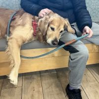 North Portland Veterinary Hospital: Fletcher Chris DVM ico