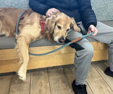 North Portland Veterinary Hospital: Fletcher Chris DVM