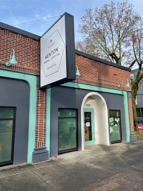 Kenton Animal Hospital 3