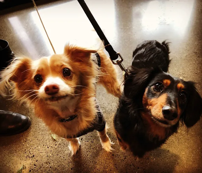Kenton Animal Hospital 6