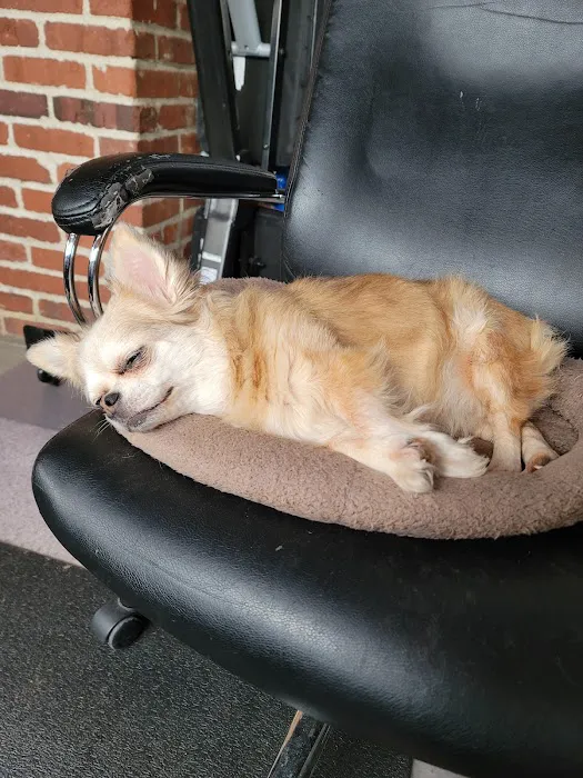 Heart and Soul Animal Urgent Care 9