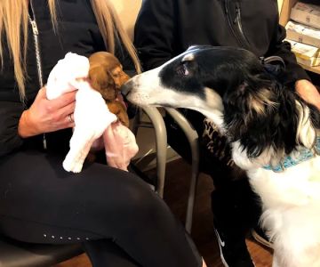 Salmon Creek Veterinary Clinic