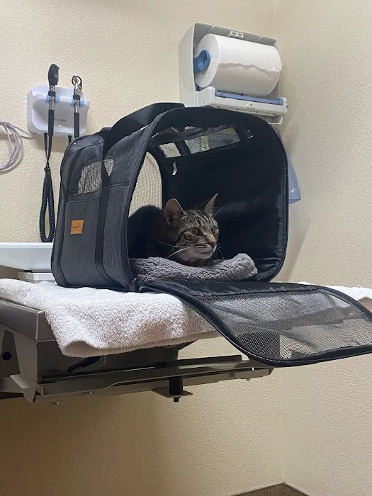 Salmon Creek Veterinary Clinic 6