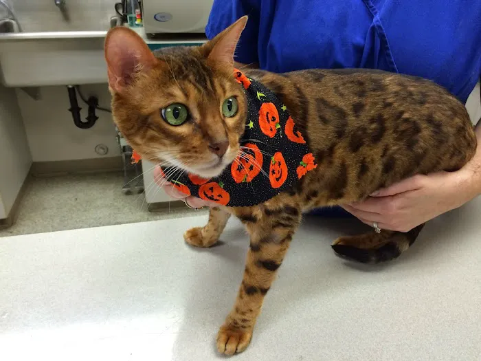 Salmon Creek Veterinary Clinic 2