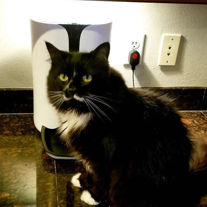 Banfield Pet Hospital 12