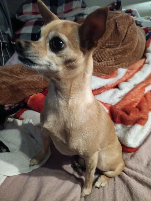 Banfield Pet Hospital 12