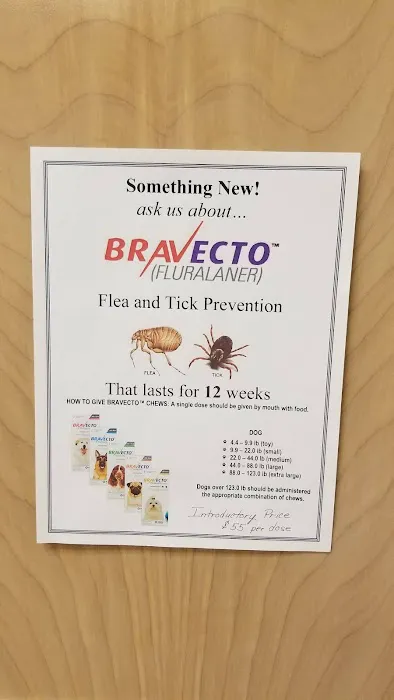 Neighborhood Pet Clinic 12