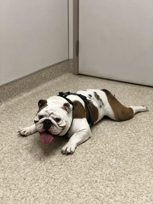 Neighborhood Pet Clinic 12