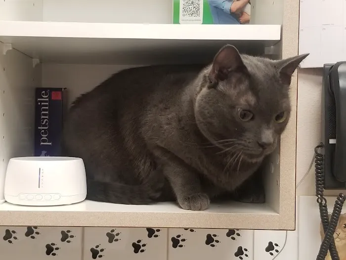 Neighborhood Pet Clinic 12