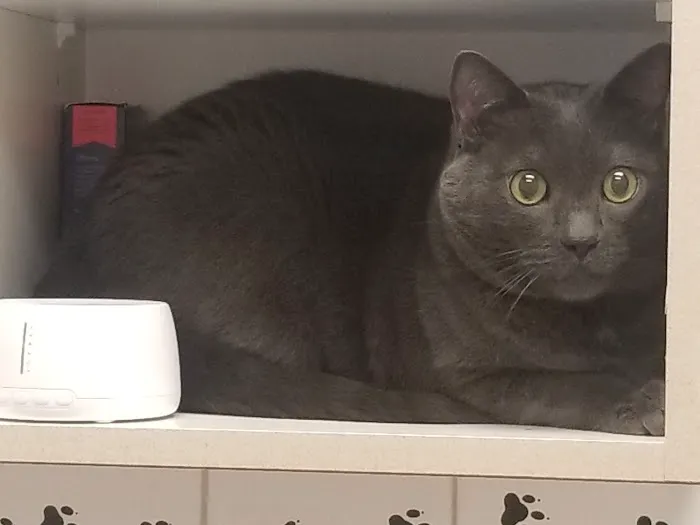Neighborhood Pet Clinic 12